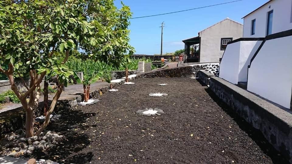 Azores Black Mountain House, Estudio E T2 Ilha Do Pico São Roque do Pico Eksteriør billede
